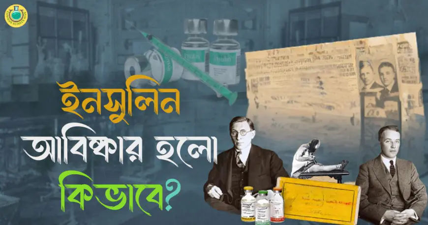 ইনসুলিন আবিষ্কার হলো কিভাবে?